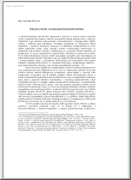 Hautzinger Zoltán - Széljegyzetek a komplementer rendészethez