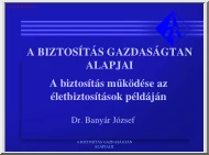 Dr. Banyár József - A biztosítás működése az életbiztosítások példáján