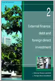 External Finance, Debt and Foreign Direct Investment