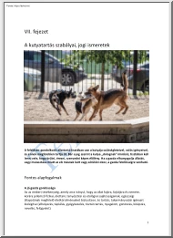 A kutyatartás szabályai, jogi ismeretek