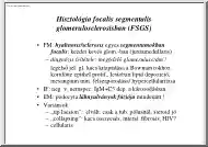 Hisztologia focalis segmentalis glomerulosclerosisban (FSGS)