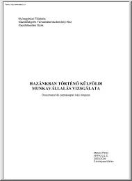 Matula Péter - Hazánkban történő külföldi munkavállalás vizsgálata