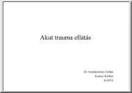 Dr. Szentkereszty Zoltán - Akut trauma ellátás
