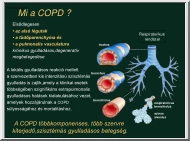 Mi a COPD