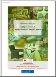 Nagy Sándorné Gáspár Mária - Cipőipari termékek anyagelőirányzat meghatározása
