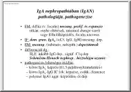 IgA nephropathiában (IgAN) pathológiája, pathogenezise