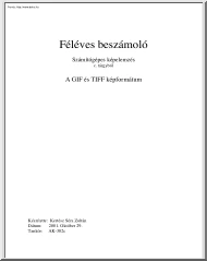 Kertész Séra Zoltán - A GIF és a TIFF képformátum