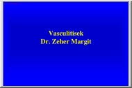 Dr. Zeher Margit - Vasculitisek
