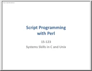 Script Programming with Perl