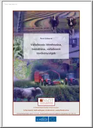 Perei Gáborné - Vállalkozás létrehozása, beindítása, vállalkozói tevékenységek