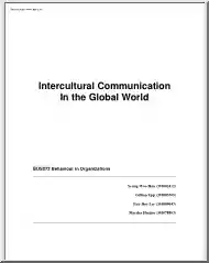 Seung-Gillian-Fun - Intercultural communication in the global world