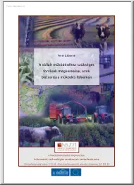 Perei Gáborné - A vállalt működéséhez szükséges források megkeresése, azok biztosítása működés folyamán