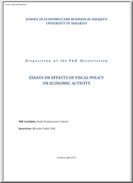 Naida Carsimamovic Vukotic - Essay on Effects of Fiscal Policy on Economic Activity