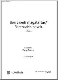 Papp Dániel - Szervezeti magatartás