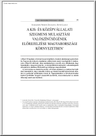 Szabadosné-Dávid - A kis- és középvállalati szegmens mulasztási valószínűségének előrejelzése magyarországi környezetben