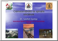 Dr. Szeifert György - Craniocerebrális és spinalis sérülések