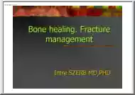Imre Szerb - Bone healing, fracture management