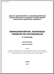 Gyuricza Csaba - Energianövények, biomassza termelés és felhasználás