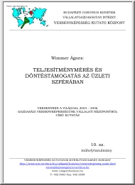 Wimmer Ágnes - Teljesítménymérés és döntéstámogatás az üzleti szférában