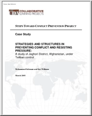 Suleman, Williams - Strategies and Structures in Preventing Conflict and Resisting Pressure