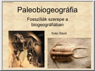 Szép Dávid - Paleobiogeográfia