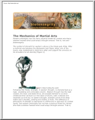 The Mechanics of Martial Arts