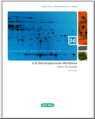 2D ElectroPhoresis Workflow, How to Guide