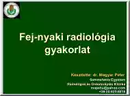 dr. Magyar Péter - Fej-nyaki radiológia gyakorlat