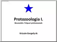 dr. Krizsán Gergely - Protozoologia I.