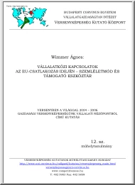 Wimmer Ágnes - Vállalatközi kapcsolatok az EU csatlakozás idején, szemléletmód és támogató eszköztár