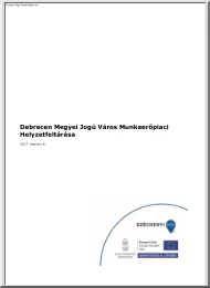 Debrecen megyei jogú város munkaerőpiaci helyzetfeltárása