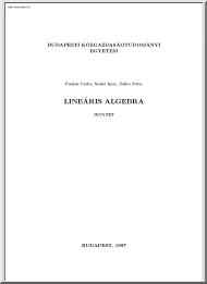 Puskás-Szabó - Lineáris Algebra, alapszint