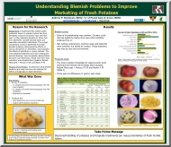 Robinson-Secor - Understanding Blemish Problems to Improve Marketing of Fresh Potatoes