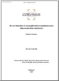 Styevkó Gabriella - Reverz hidrolízis és transzglikoziláció tanulmányozása oligoszacharidok szintézisére
