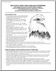 Bob Hatcher - Bald Facts about Bald Eagles in Tennessee