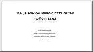 Heinzlmann Andrea - Máj, hasnyálmirigy, epehólyag szövettana