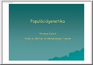 Pecsenye Katalin - Populációgenetika