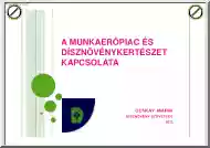 Ocskay Mária - A munkaerőpiac és