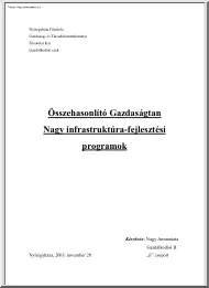 Nagy Annamária - Nagy infrastruktúra-fejlesztési programok