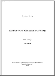 Komáromi György - Részvénypiaci buborékok anatómiája, tézisek