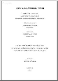 Bodor Mónika - A humán erőforrás gazdálkodás 21, századi kihívásai a hazai felsőoktatási intézmények működésének tükrében