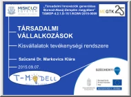 Szűcsné Dr. Markovics Klára - Társadalmi vállalkozások, kisvállalkozások tevékenységi rendszere