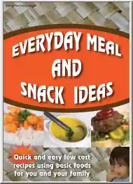 Everyday Meal and Snack Ideas