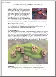 Lessons from Kampfgruppe Seigfried, Tactics for Tiger Companies