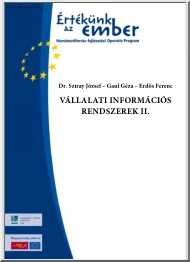Sziray-Gaul - Vállalati információs rendszerek II.