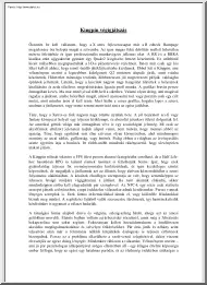 Kingpin végigjátszás