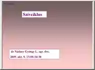 dr. Nádasy György - Szívciklus