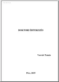 Vasvári Tamás - Puha költségvetési korlát és politikai kötődés a magyar önkormányzati rendszerben