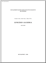 BKÁE Puskás-Szabó-Tallos - Lineáris algebra