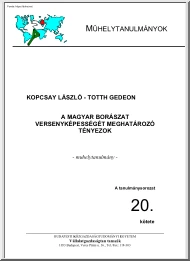 Kopcsay-Totth - A magyar borászat versenyképességét meghatározó tényezők